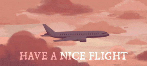 Plane Flight Aesthetic Sunset GIF