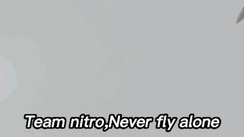 Plane Flying with Team Nitro Never Fly Alone