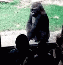 Planet Of The Apes 220 X 226 Gif GIF