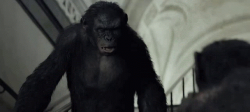 Planet Of The Apes 498 X 224 Gif GIF