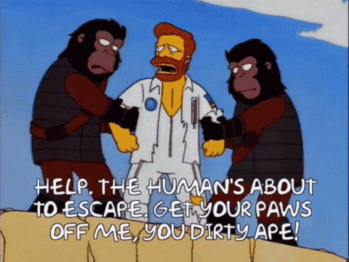 Planet Of The Apes 498 X 373 Gif GIF