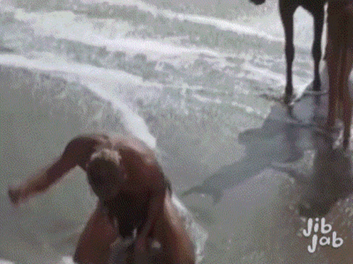 Planet Of The Apes 498 X 373 Gif GIF