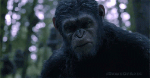 Planet Of The Apes Aluggy Man GIF