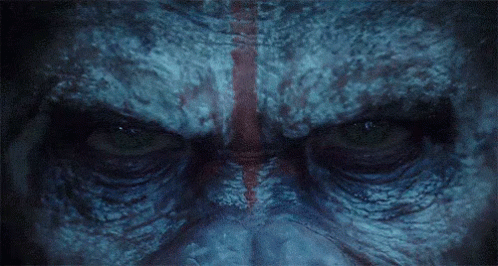 Planet Of The Apes Angry Caesar GIF