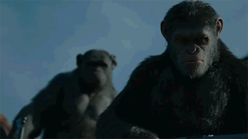 Planet Of The Apes Caesar Attacking Soldier GIF