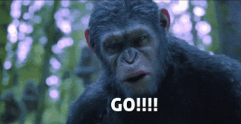 Planet Of The Apes Caesar Go GIF