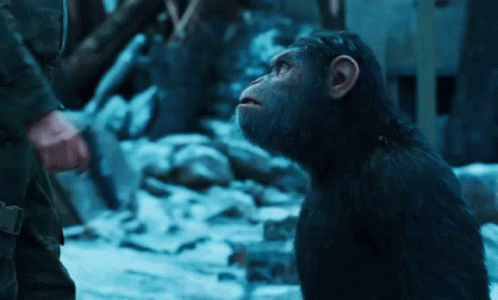 Planet Of The Apes Caesar Gun On Head GIF