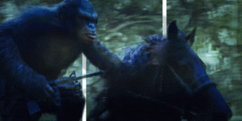 Planet Of The Apes Caesar Horse Riding GIF