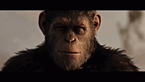 Planet Of The Apes Caesar Smile GIF