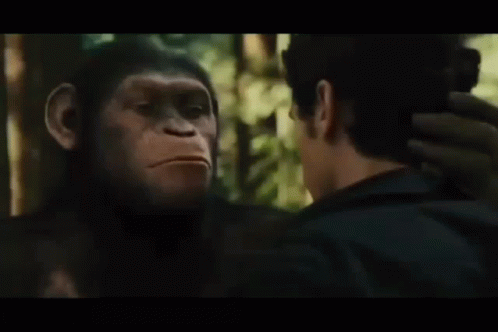 Planet Of The Apes Caesar Whisper GIF