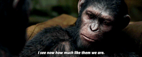 Planet Of The Apes I See Now Caesar GIF