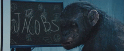 Planet Of The Apes Jacobs GIF