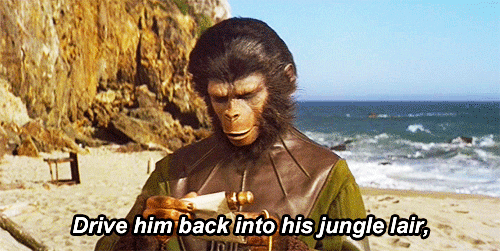 Planet Of The Apes Jungle Lair GIF