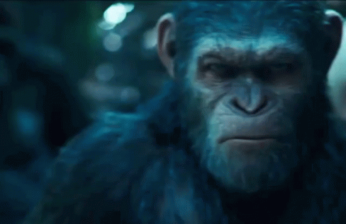 Planet Of The Apes Mad Caesar GIF