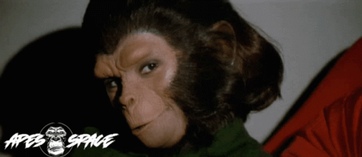 Planet Of The Apes GIF