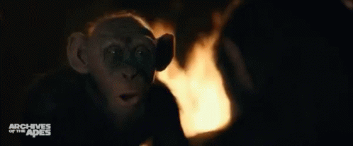 Planet Of The Apes Monkey Pointing GIF