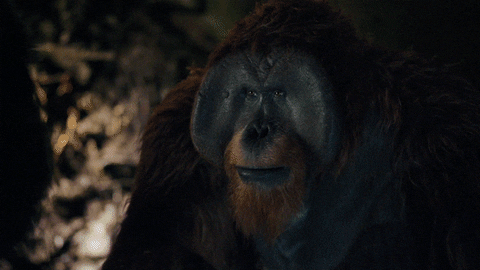 Planet Of The Apes Nova And Maurice GIF