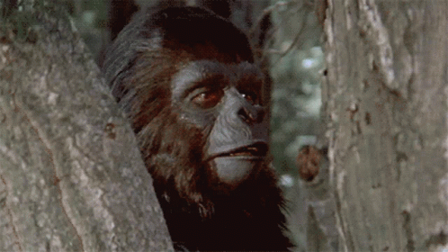 Planet Of The Apes Shocked Open Mouth GIF