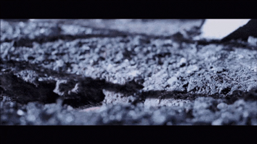 Planet Of The Apes GIF
