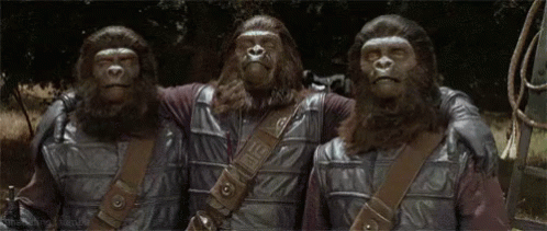 Planet Of The Apes Three Apes GIF