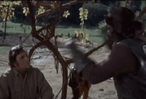 Planet Of The Apes What GIF