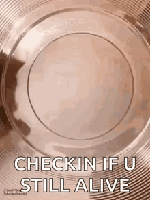 Plate Saying Checkin If U Still Alive