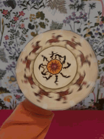 Plate Spinning Gif GIF
