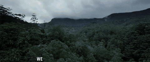 Platoon Jungle Search GIF