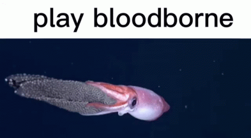 Play Bloodborne Giant Squid GIF