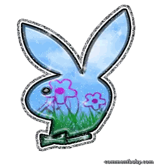 Playboy Bunny with Flowers
