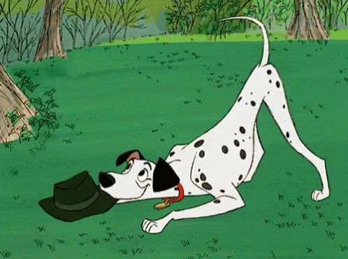 Playful Dalmatian Dog GIF