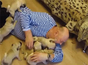 Playful Puppies Cuddle Hug GIF