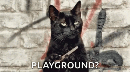 Playground Funny Cat Meme GIF