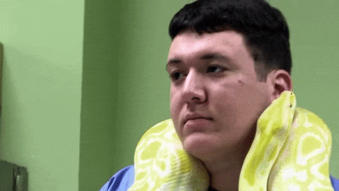 Playing Anaconda Snake GIF