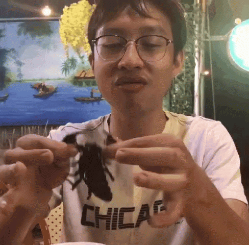 Playing With Black Scorpion GIF