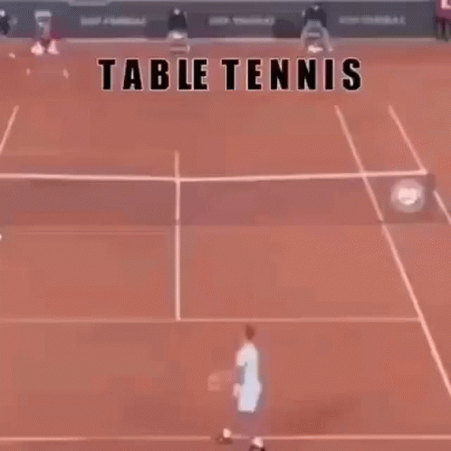 Playing With Literal Table Tennis GIF