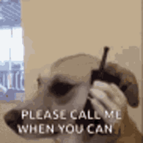 Please Call Me Dog Telephone Meme GIF