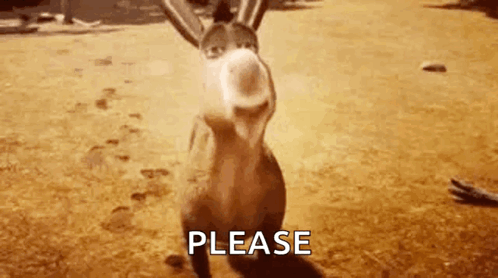 Please Dont Go Big Smile Donkey GIF