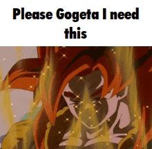 Please Gogeta I Need This