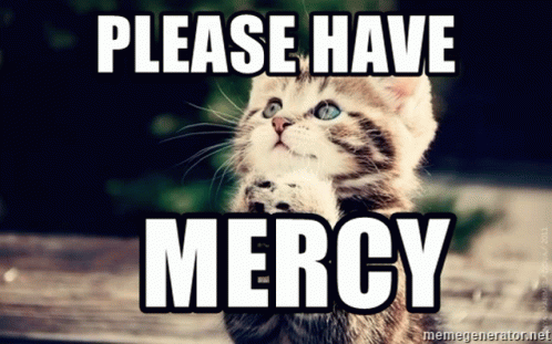 Please Have Mercy Cat GIF