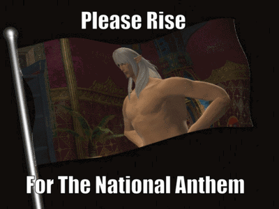 Please Rise For National Anthem GIF