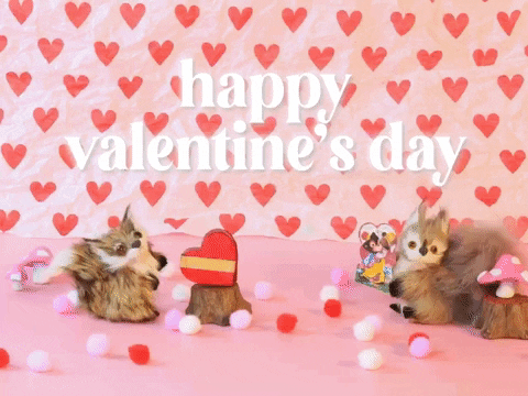 Plush Squirrel Happy Valentine's Day GIF