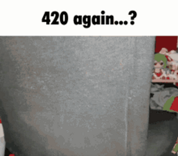 Plush Toy Cirno Bucket Over Head 420 Again GIF