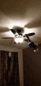 Plush Toy Hanging On Ceiling Fan GIF