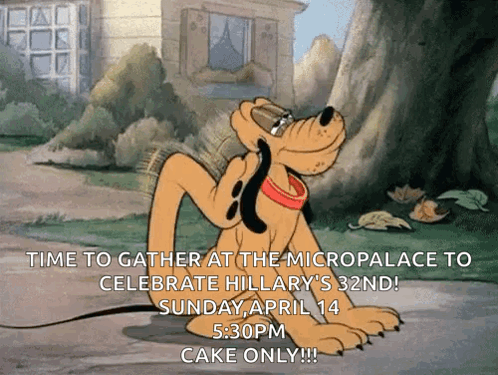 Pluto Scratching Head Time to Gather at Micropalace for Hillary's 32nd