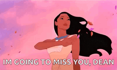 Pocahontas Disney's Princess And The Frog