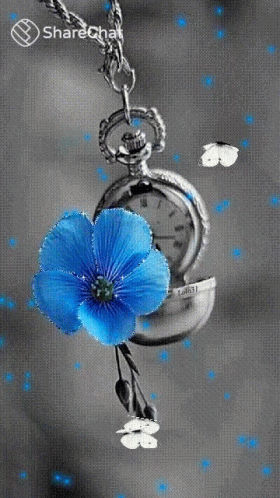 Pocket Watch and Blue Flower