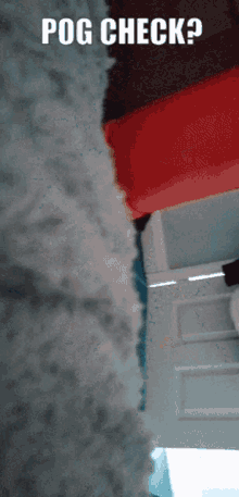 Pog Check Dog GIF