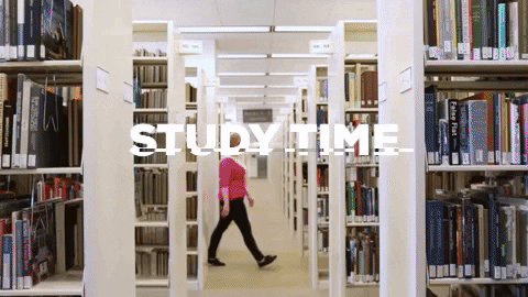 Point Of View Study Time At Library GIF
