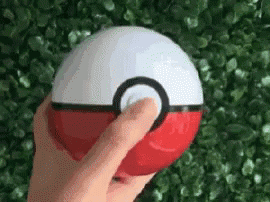 Pokeball Cute Kitty Reveal Meme GIF